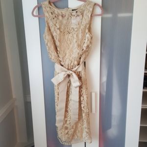 Adrianna Papell -Gorgeous Lace Dress - 4